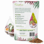 Terrarium Soil Mix & Plant Food Bundle — Well-Draining Potting Soil for Succulents, Cactus, Aloe & Indoor Plants