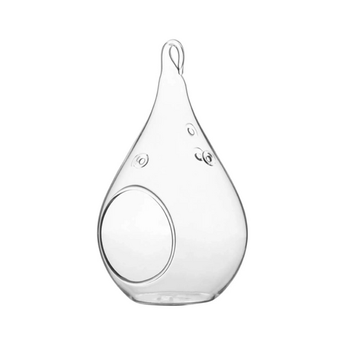 Hanging Teardrop Glass Terrarium with Stand: Air Plant & Succulent Holder