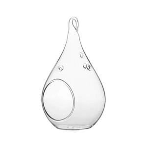 Hanging Teardrop Glass Terrarium with Stand: Air Plant & Succulent Holder