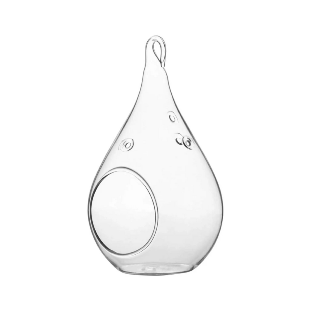 Hanging Teardrop Glass Terrarium with Stand: Air Plant & Succulent Holder