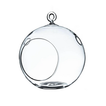 Load image into Gallery viewer, Hanging Glass Globe Terrarium with Stand: Air Plant &amp; Succulent Holder, DIY Kit Vase