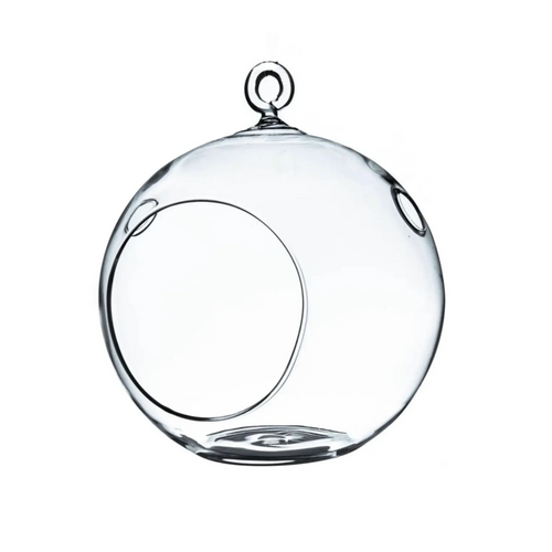 Hanging Glass Globe Terrarium with Stand: Air Plant & Succulent Holder, DIY Kit Vase