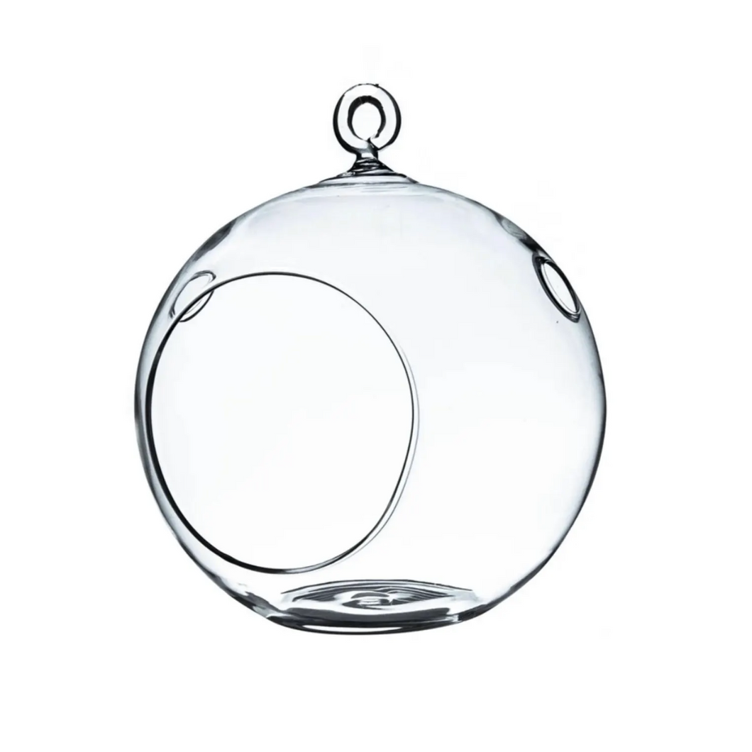Hanging Glass Globe Terrarium with Stand: Air Plant & Succulent Holder, DIY Kit Vase