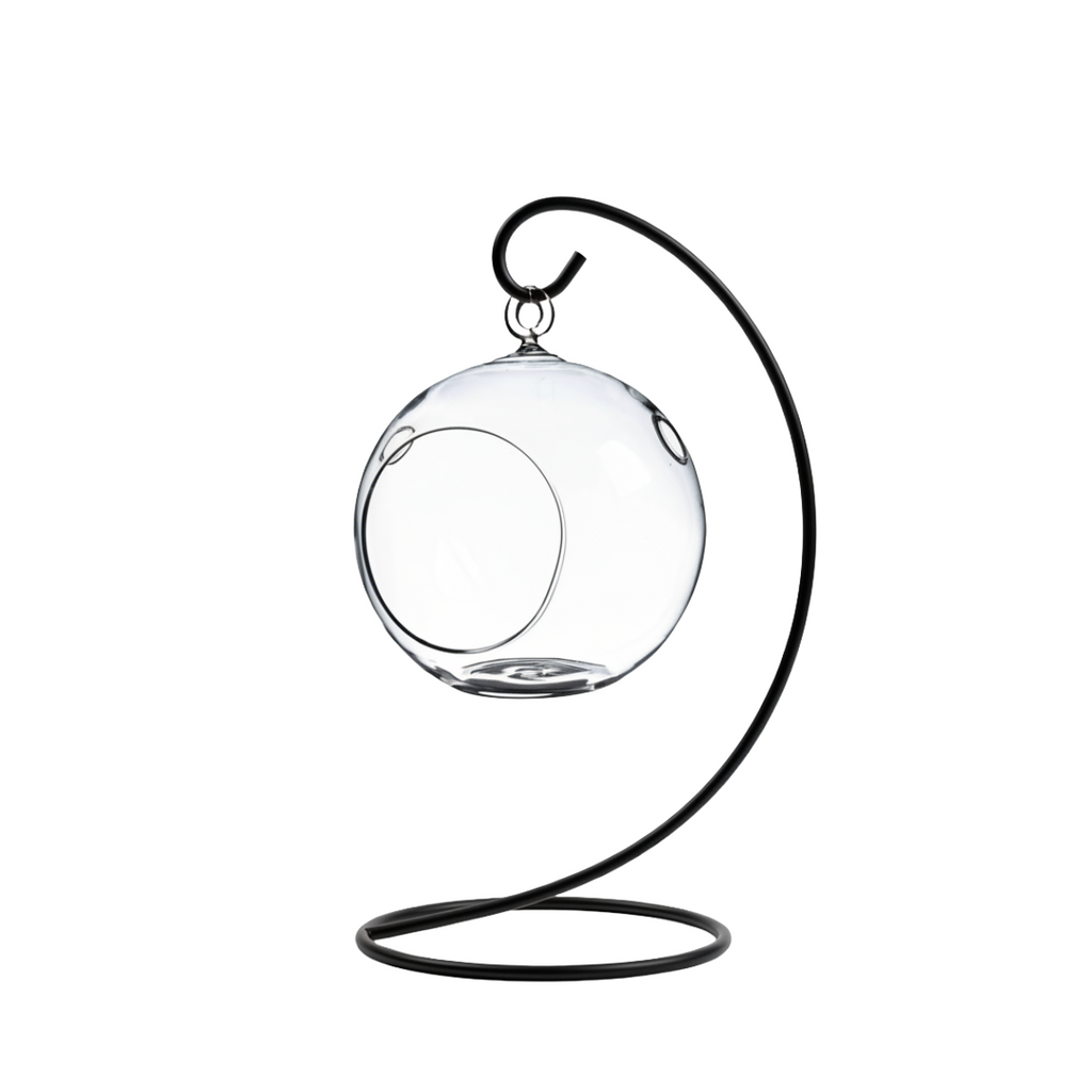 Hanging Glass Globe Terrarium with Stand — 5" Clear Glass Air Plant & Succulent Holder for DIY Kits, Home & Wedding Decor