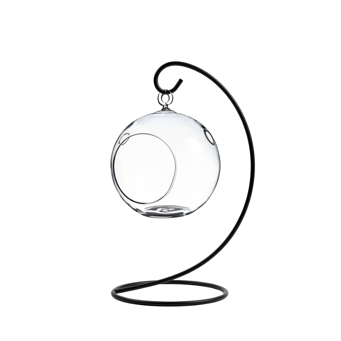 Hanging Glass Globe Terrarium with Stand — 5" Clear Glass Air Plant & Succulent Holder for DIY Kits, Home & Wedding Decor