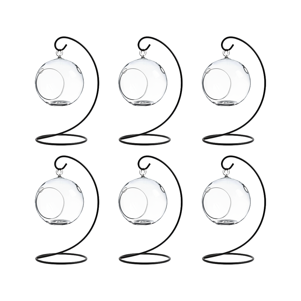 Hanging Glass Globe Terrarium with Stand — 5" Clear Glass Air Plant & Succulent Holder for DIY Kits, Home & Wedding Decor