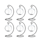 Hanging Glass Globe Terrarium with Stand — 5" Clear Glass Air Plant & Succulent Holder for DIY Kits, Home & Wedding Decor