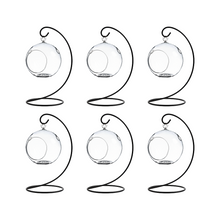 Load image into Gallery viewer, Hanging Glass Globe Terrarium with Stand: Air Plant &amp; Succulent Holder, DIY Vase