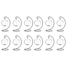 Load image into Gallery viewer, Hanging Glass Globe Terrarium with Stand: Air Plant &amp; Succulent Holder, DIY Vase