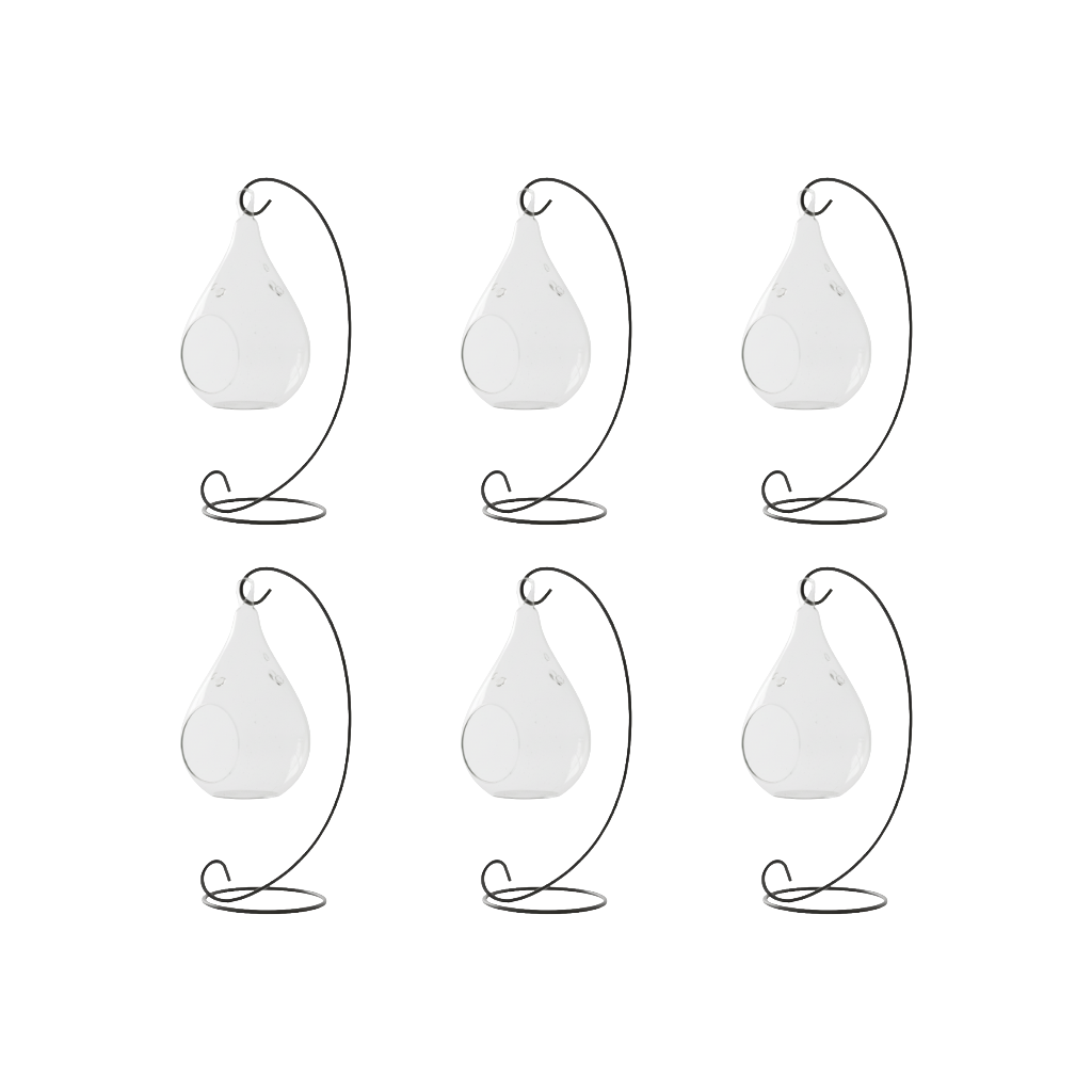 Hanging Teardrop Glass Terrarium with Stand: Air Plant & Succulent Holder