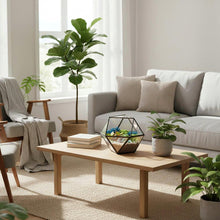 Load image into Gallery viewer, Geometric Glass Tabletop Terrarium: Modern Succulent Planter