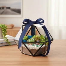 Load image into Gallery viewer, Geometric Glass Tabletop Terrarium: Modern Succulent Planter