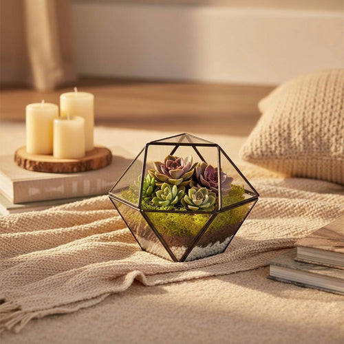 Geometric Glass Tabletop Terrarium: Modern Succulent Planter
