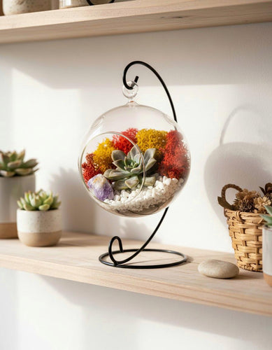 Hanging Glass Globe Terrarium with Stand: Air Plant & Succulent Holder, DIY Vase