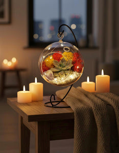 Hanging Glass Globe Terrarium with Stand: Air Plant & Succulent Holder, DIY Kit Vase