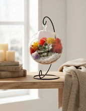 Load image into Gallery viewer, Hanging Glass Globe Terrarium with Stand: Air Plant &amp; Succulent Holder, DIY Kit Vase