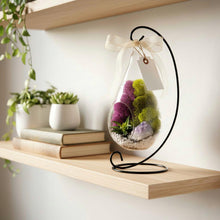 Load image into Gallery viewer, Hanging Teardrop Glass Terrarium with Stand: Air Plant &amp; Succulent Holder