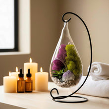 Load image into Gallery viewer, Hanging Teardrop Glass Terrarium with Stand: Air Plant &amp; Succulent Holder