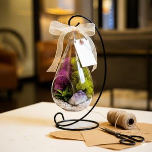 Hanging Teardrop Glass Terrarium with Stand: Air Plant & Succulent Holder