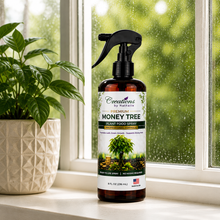Load image into Gallery viewer, Creations by Nathalie Money Tree Plant Food Spray, Ready-to-Use Liquid Fertilizer for Indoor Plants, Indoor Plant Food for Houseplants, Plant Food for Indoor Plants, House Plant Food, 8 Fl Oz