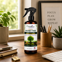 Load image into Gallery viewer, Creations by Nathalie Money Tree Plant Food Spray, Ready-to-Use Liquid Fertilizer for Indoor Plants, Indoor Plant Food for Houseplants, Plant Food for Indoor Plants, House Plant Food, 8 Fl Oz