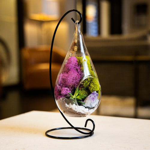 Hanging Teardrop Glass Terrarium with Stand: Air Plant & Succulent Holder