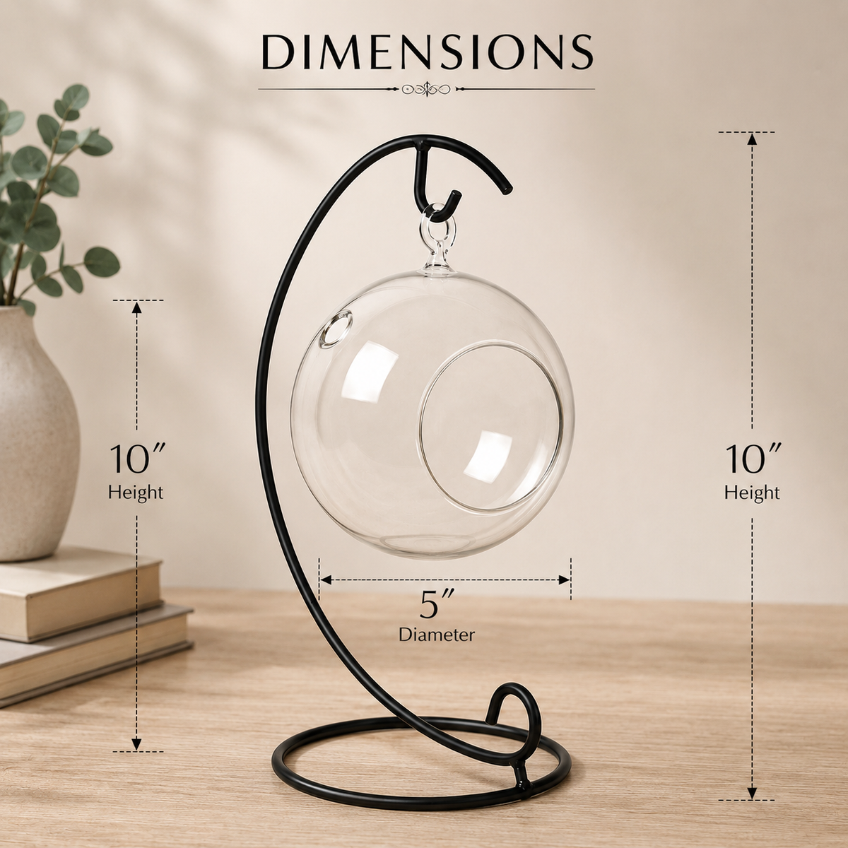 Hanging Glass Globe Terrarium with Stand — 5" Clear Glass Air Plant & Succulent Holder for DIY Kits, Home & Wedding Decor