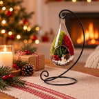 Hanging Teardrop Glass Terrarium with Stand — Hand-Blown Air Plant & Succulent Holder for DIY Kits, Home & Wedding Decor