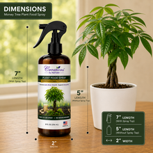 Load image into Gallery viewer, Creations by Nathalie Money Tree Plant Food Spray, Ready-to-Use Liquid Fertilizer for Indoor Plants, Indoor Plant Food for Houseplants, Plant Food for Indoor Plants, House Plant Food, 8 Fl Oz