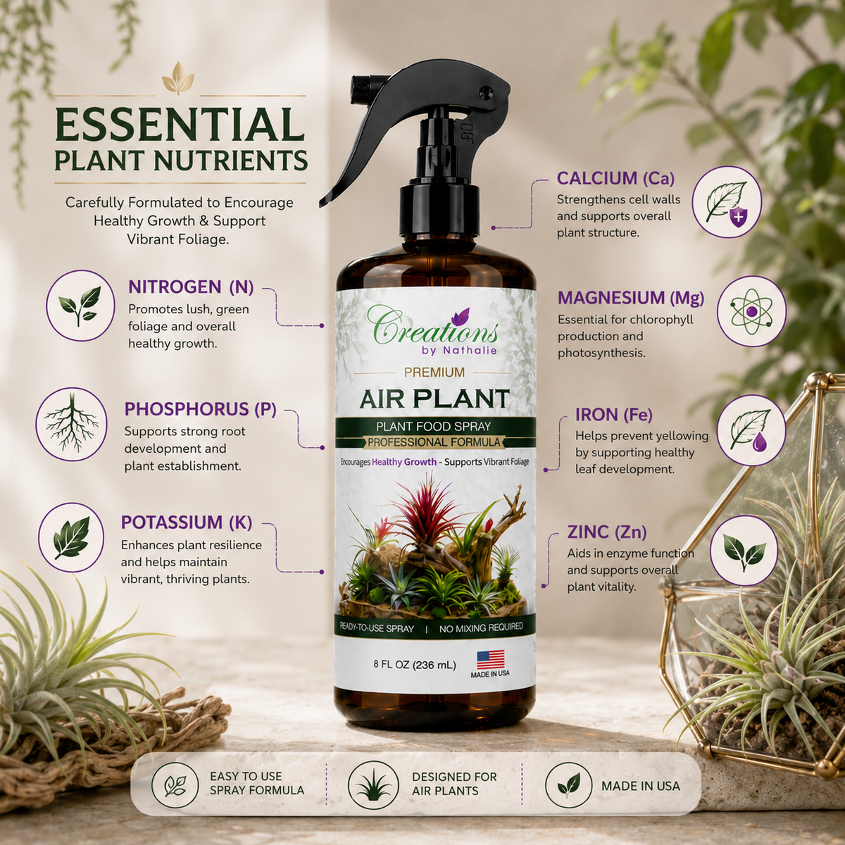 Creations by Nathalie Air Plant Food Spray, Ready-to-Use Liquid Plant Food for Air Plants & Bromeliads, Indoor Fertilizer, 8 Fl Oz