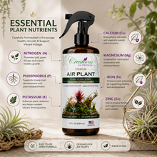 Load image into Gallery viewer, Creations by Nathalie Air Plant Food Spray, Ready-to-Use Liquid Plant Food for Air Plants &amp; Bromeliads, Indoor Fertilizer, 8 Fl Oz
