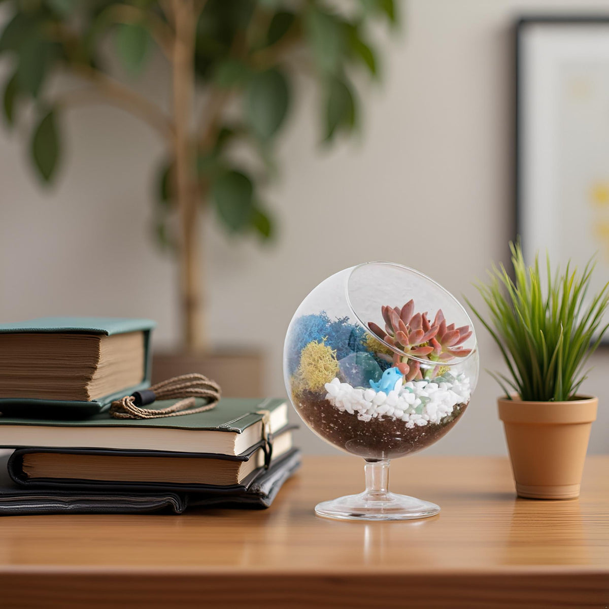 6" Glass Chalice Succulent Terrarium Kit