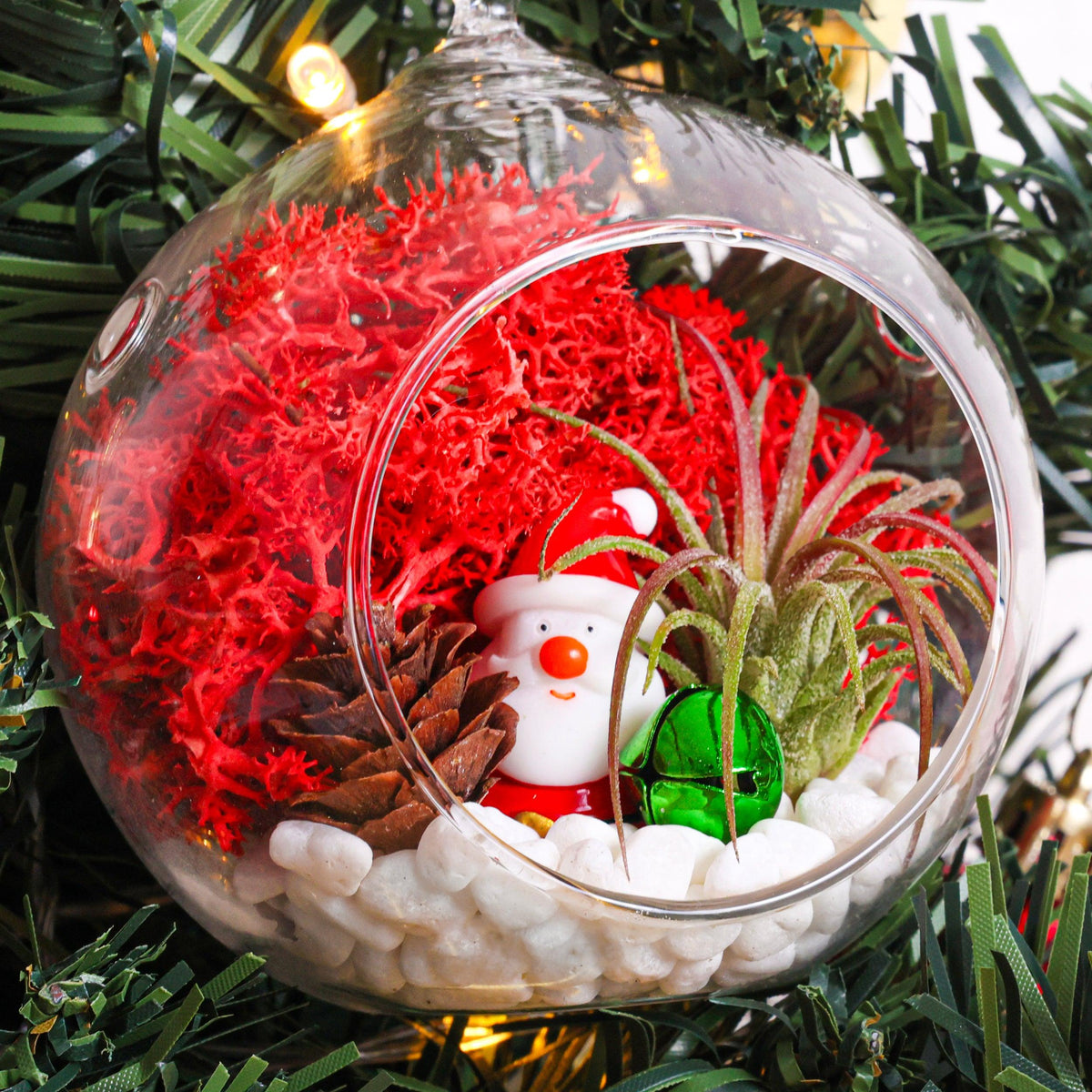 Holiday Ornament Terrarium Set of 2 - Glass Globe and Glass Teardrop with Live Plant - Creations by Nathalie