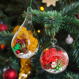 holiday terrarium ornaments on christmas tree
