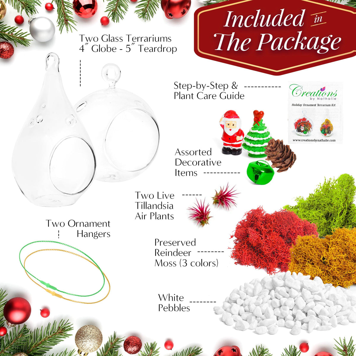 Holiday Ornament Terrarium Set of 2 - Glass Globe and Glass Teardrop with Live Plant - Creations by Nathalie