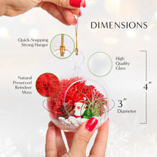 Load image into Gallery viewer, Holiday Ornament Terrarium Set of 2 - Glass Globe and Glass Teardrop with Live Plant - Creations by Nathalie