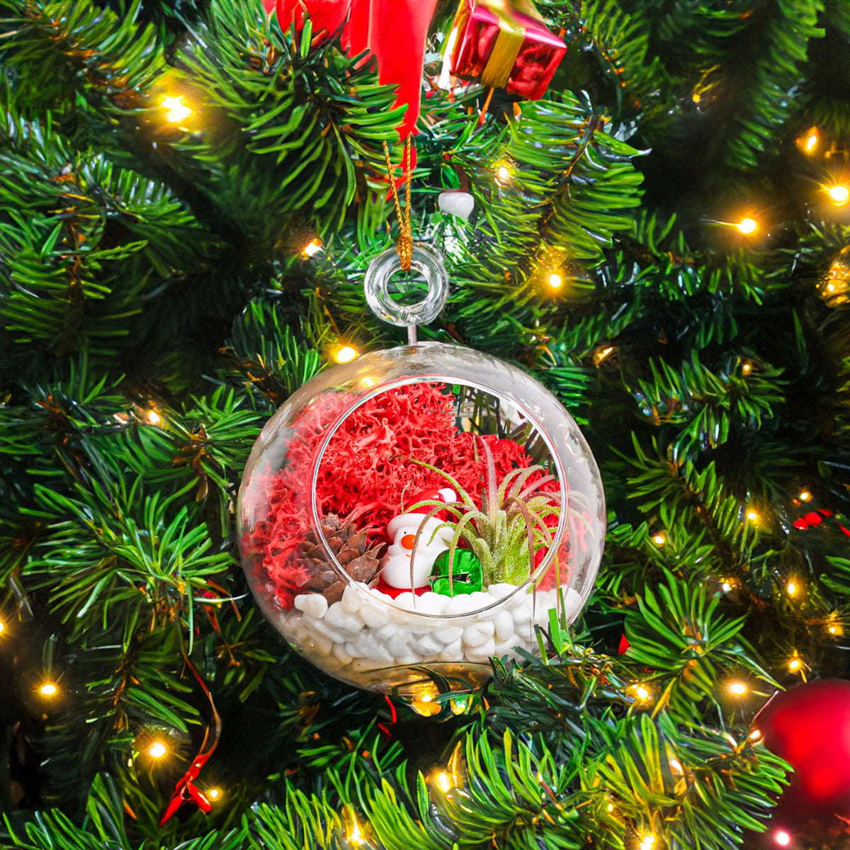 Holiday Ornament Terrarium Set of 2 - Glass Globe and Glass Teardrop with Live Plant - Creations by Nathalie