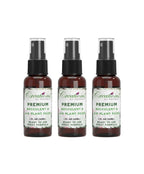 Succulent & Air Plant Fertilizer Spray — Ready-to-Use Liquid Plant Food for Terrariums, Indoor Plants & DIY Kits