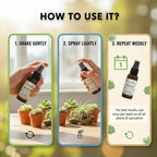 Succulent & Air Plant Fertilizer Spray — Ready-to-Use Liquid Plant Food for Terrariums, Indoor Plants & DIY Kits