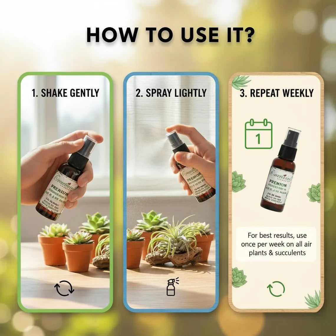 Succulent & Air Plant Fertilizer Spray — Ready-to-Use Liquid Plant Food for Terrariums, Indoor Plants & DIY Kits