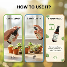 Load image into Gallery viewer, Succulent &amp; Air Plant Fertilizer - Ready-To-Use Mist Spray