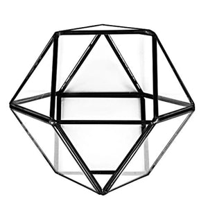 Geometric Glass Tabletop Terrarium: Modern Succulent Planter