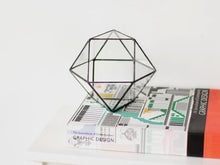 Load image into Gallery viewer, Geometric Glass Tabletop Terrarium: Modern Succulent Planter