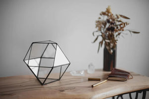 Geometric Glass Tabletop Terrarium: Modern Succulent Planter