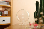 Chalice Glass Terrarium Bowl — 5" Open Succulent Planter Vase for Air Plants, DIY Terrarium, Wedding & Home Decor