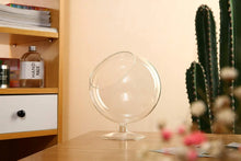 Load image into Gallery viewer, Chalice Glass Terrarium: Modern Succulent Planter Vase, DIY Gift