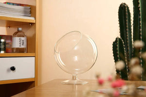 Chalice Glass Terrarium: Modern Succulent Planter Vase, DIY Gift