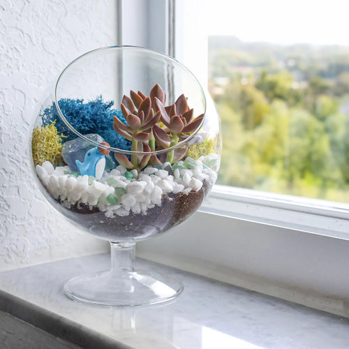 Chalice Glass Terrarium: Modern Succulent Planter Vase, DIY Gift