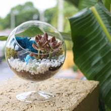 Load image into Gallery viewer, Chalice Glass Terrarium: Modern Succulent Planter Vase, DIY Gift