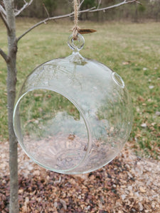 Hanging Glass Globe Terrarium with Stand: Air Plant & Succulent Holder, DIY Kit Vase